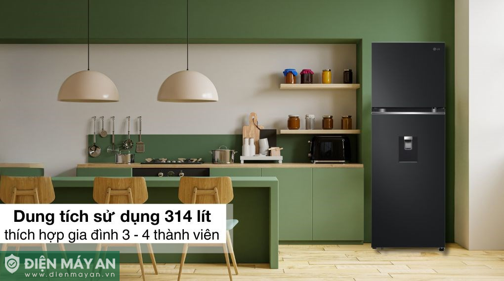 Tủ lạnh LG Inverter 314 lít LTD31BLM